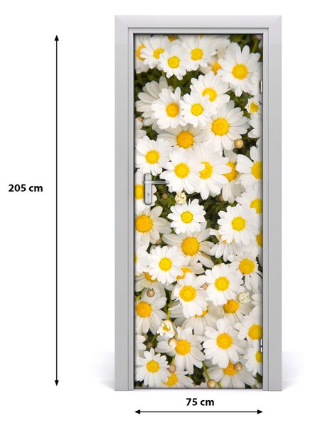 Fototapeta samolepiace kvety sedmokrásky 75x205 cm