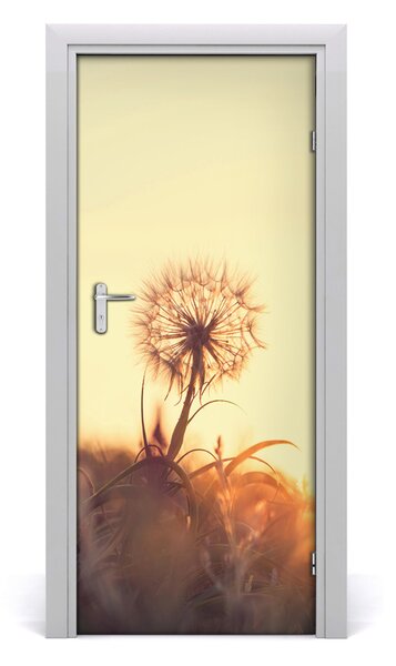 Fototapeta samolepiace púpava 85x205 cm