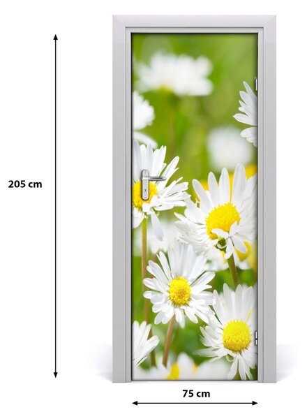 Fototapeta samolepiace sedmokrásky 75x205 cm