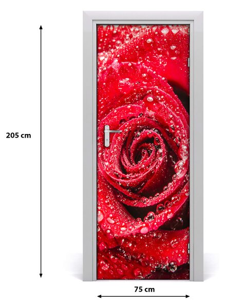 Fototapeta samolepiace červená ruža 75x205 cm