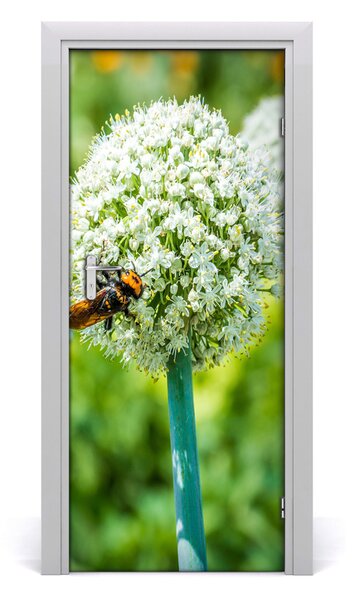 Fototapeta samolepiace kvet cesnaku 85x205 cm