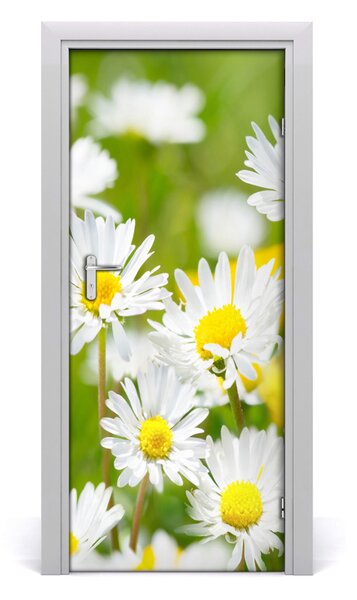 Fototapeta samolepiace sedmokrásky 85x205 cm