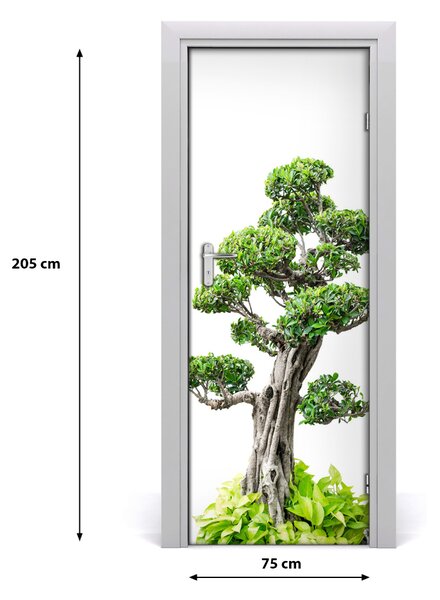 Fototapeta samolepiace bonsai 75x205 cm