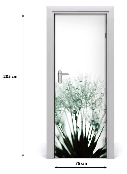 Fototapeta samolepiace semená púpavy 75x205 cm