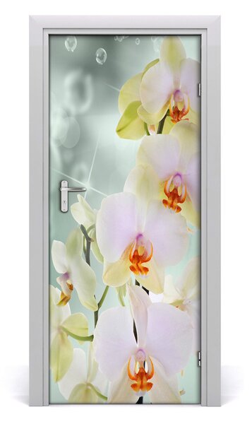 Fototapeta samolepiace orchidea 85x205 cm