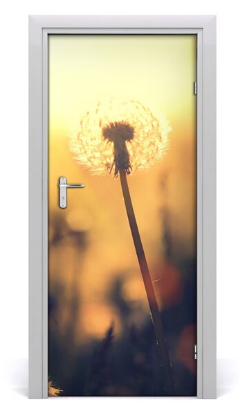 Fototapeta samolepiace púpava 85x205 cm