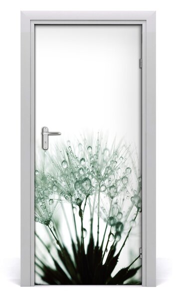Fototapeta samolepiace semená púpavy 85x205 cm