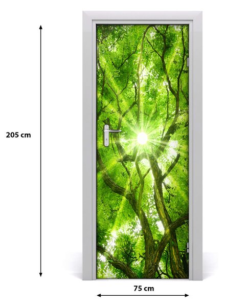 Fototapeta samolepiace koruna stromov 75x205 cm