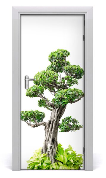 Fototapeta samolepiace bonsai 85x205 cm