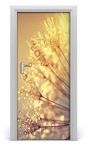 Fototapeta samolepiace semená púpavy 85x205 cm