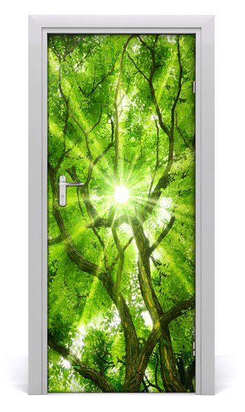 Fototapeta samolepiace koruna stromov 85x205 cm