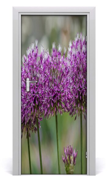Fototapeta samolepiace kvet cesnaku 85x205 cm