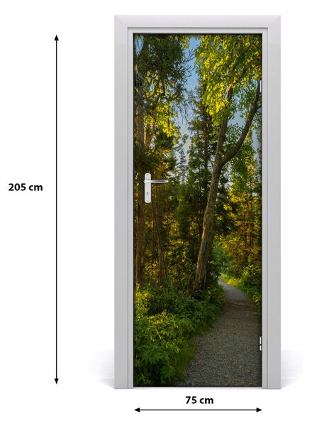 Fototapeta na dvere chodník v lese 75x205 cm