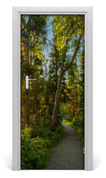 Fototapeta na dvere chodník v lese 85x205 cm