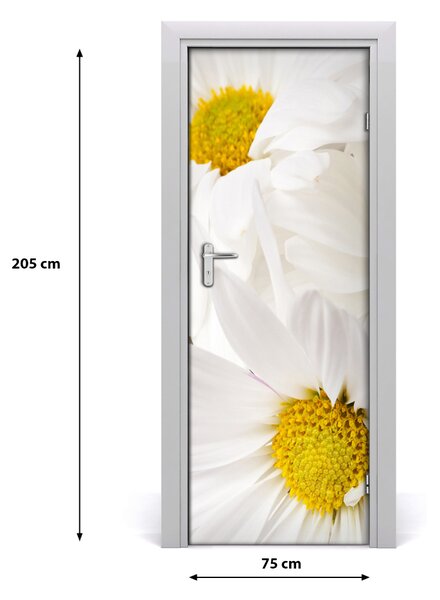 Fototapeta samolepiace sedmokrásky 75x205 cm