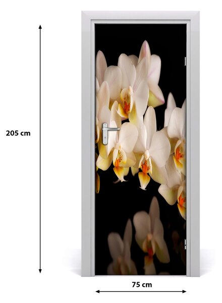 Fototapeta samolepiace orchidea 75x205 cm