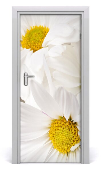 Fototapeta samolepiace sedmokrásky 85x205 cm