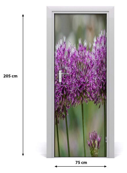 Fototapeta samolepiace kvet cesnaku 75x205 cm