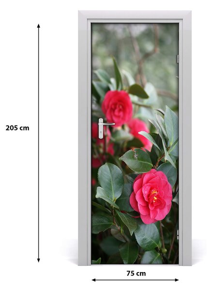 Fototapeta samolepiace kamélie 75x205 cm