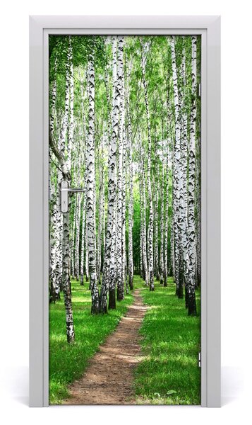 Fototapeta na dvere Břízová les 85x205 cm