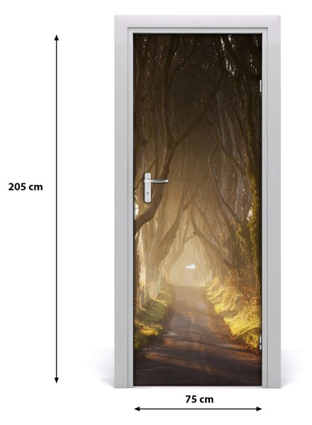 Fototapeta na dvere chodník v lese 75x205 cm