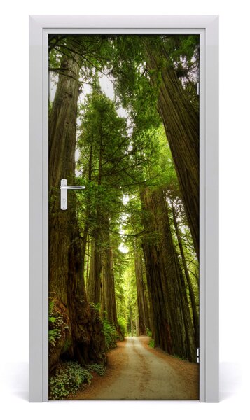 Fototapeta na dvere chodník v lese 85x205 cm