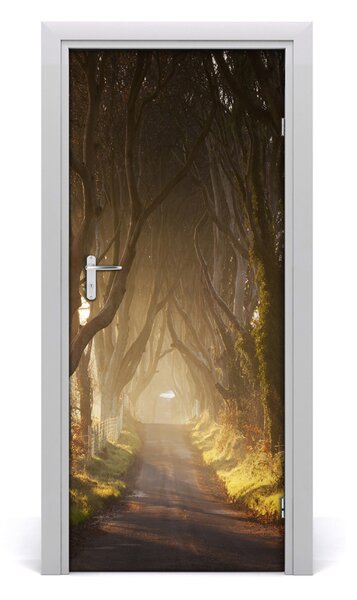 Fototapeta na dvere chodník v lese 85x205 cm