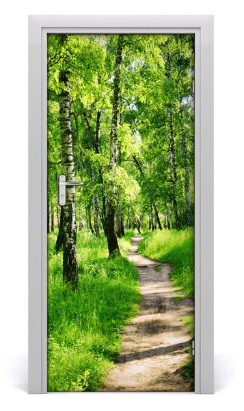 Fototapeta na dvere Břízová les 85x205 cm