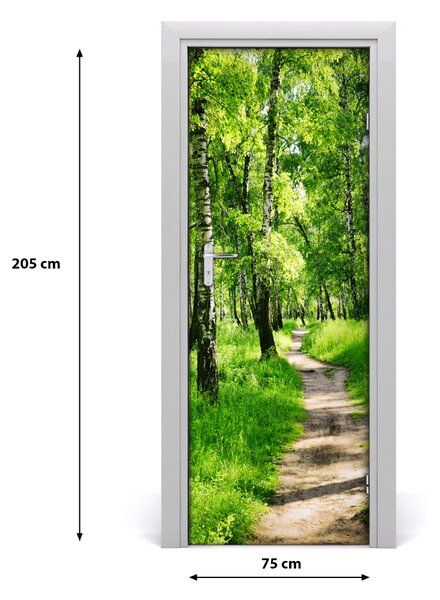 Fototapeta na dvere Břízová les 75x205 cm