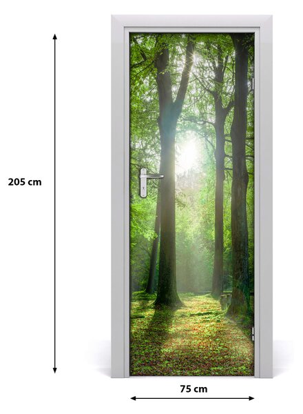 Fototapeta na dvere slnka v lese 75x205 cm