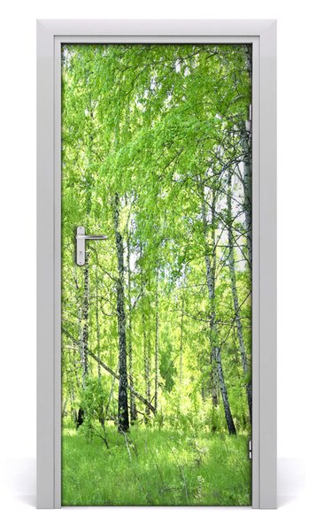 Fototapeta na dvere Břízová les 85x205 cm