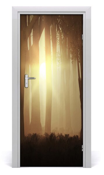 Fototapeta na dvere hmla v lese 85x205 cm