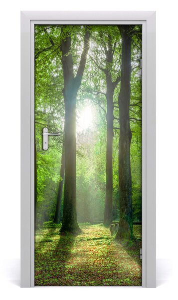 Fototapeta na dvere slnka v lese 85x205 cm