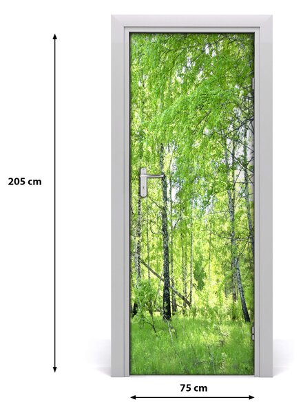 Fototapeta na dvere Břízová les 75x205 cm