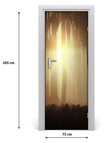Fototapeta na dvere hmla v lese 75x205 cm