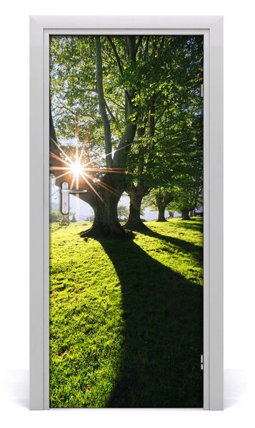 Fototapeta na dvere park 85x205 cm