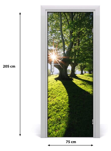Fototapeta na dvere park 75x205 cm