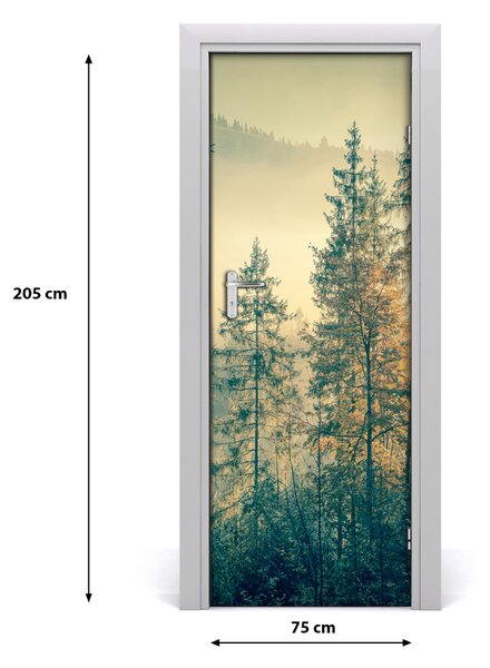 Fototapeta na dvere hmla nad lesom 75x205 cm