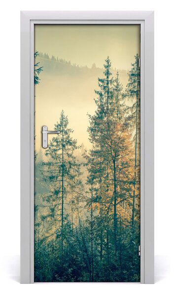 Fototapeta na dvere hmla nad lesom 85x205 cm