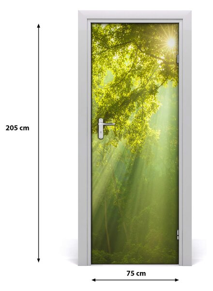 Fototapeta na dvere slnka v lese 75x205 cm