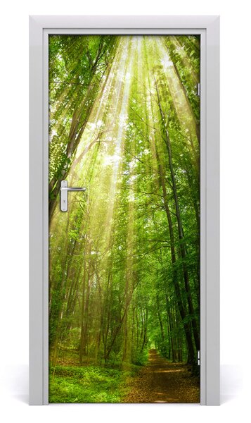 Fototapeta na dvere chodník v lese 85x205 cm