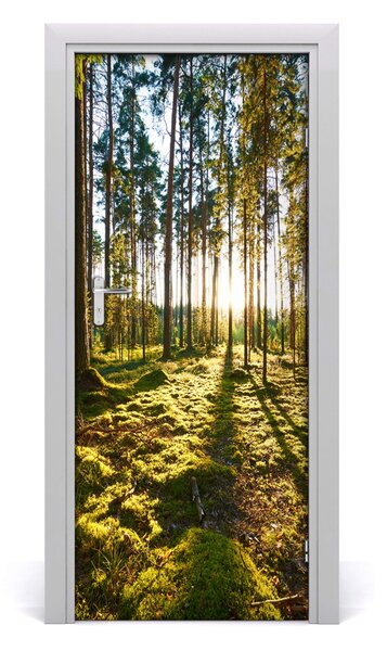 Fototapeta na dvere Sosny les 85x205 cm