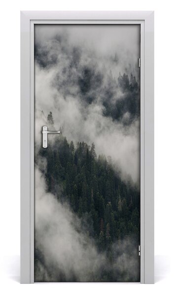 Fototapeta na dvere mrak nad lesom 85x205 cm