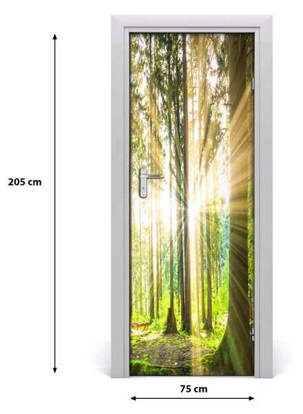 Fototapeta na dvere slnka v lese 75x205 cm
