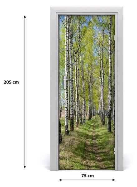 Fototapeta na dvere samolepiace Břízová les 75x205 cm