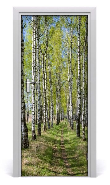 Fototapeta na dvere samolepiace Břízová les 85x205 cm