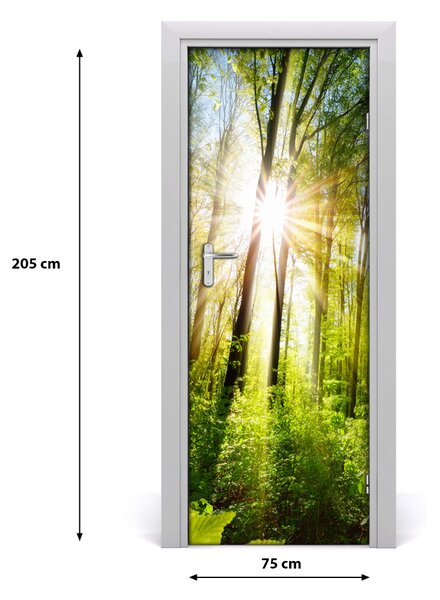 Fototapeta na dvere samolepiace slnka v lese 75x205 cm