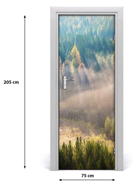 Fototapeta na dvere samolepiace hmla nad lesom 75x205 cm