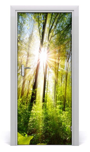 Fototapeta na dvere samolepiace slnka v lese 85x205 cm