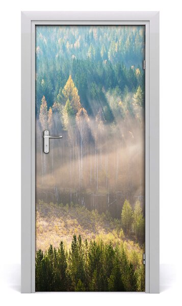 Fototapeta na dvere samolepiace hmla nad lesom 85x205 cm